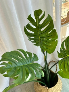 PLANTA ARTIFICIAL - Vuillt Home