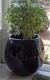 Vaso decorativo - Esfera G - comprar online