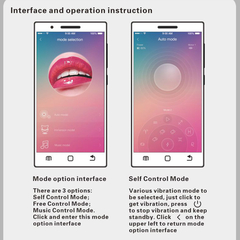 VIBRADOR DE CASAL CONTROLADO POR APP DE CELULAR, RECARREGÁVEL, 12 MODOS DE VIBRAÇÃO - PRETTY LOVE AUGUST - 014582H na internet