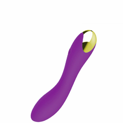 VIBRADOR PONTO G RECARREGÁVEL COM 20 MODOS DE VIBRAÇÕES - 180302 - comprar online