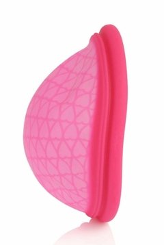 Disco Menstrual Feminist - 25 ml - comprar online