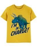 Blusa Triceratops - Carter’s
