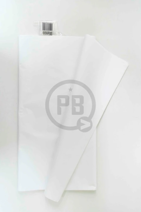 PAPEL SEDA BLANCO HOJAS 75X100CM
