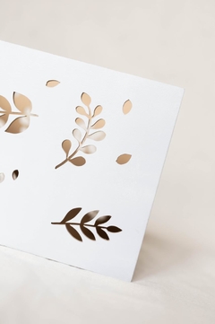 Caja Calada en internet