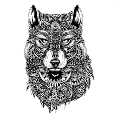 Regata Cellos Abstract Wolf Premium na internet