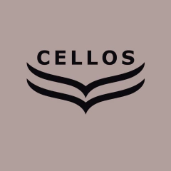 Short Tactel Feminino Cellos Dawn Premium na internet