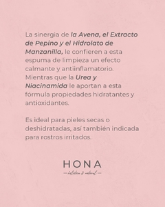 KIT INICIAL PROMOCION MAYORISTA - comprar online