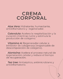 KIT INICIAL PROMOCION MAYORISTA en internet
