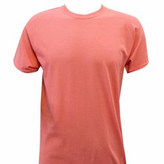 Remeras lisas algodón mercerizado manga corta adultos (más de 20 colores en stock) - comprar online