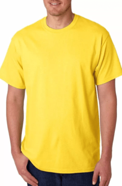 Remeras lisas algodón mercerizado manga corta adultos (más de 20 colores en stock) - Texal