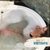 Day Spa Vinoterapia