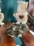 Sapo Onix