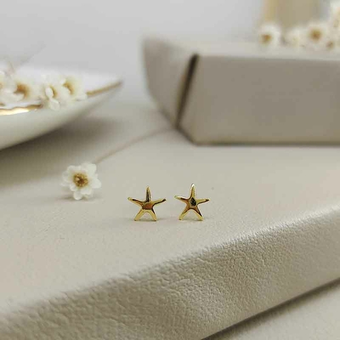 Brinco Estrela Ouro 18K