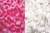 Pétalas rosa claro com brancas  100uni. na internet