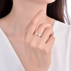 P2618 - Anillo Ajustable con cubics, Plata 925. en internet