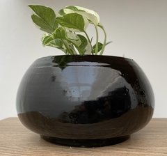 Maceta Bali