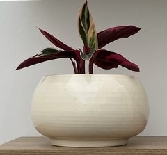 Maceta Bali - comprar online