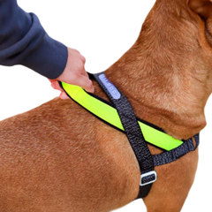 Arnes para Perro Zeedog Nox SofterWalk Harness Small en internet