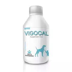 Complemento Multivitamínico Vigocal x 120 ml