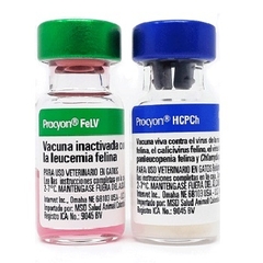 Vacuna Procyon Triple Felina + Leucemia (1 ml)