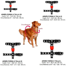 Arnes para Perro Zeedog Nox H-Harness Small - MiMaskotica | Tienda para Mascotas