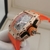 Relógio Richard Mille - My Times