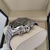 Relógio Breitling - comprar online