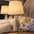 Arce marfil - $173100 efectivo/transferencia - comprar online