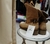 BOTA PRUNE 38 en internet
