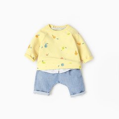 Conjunto frutitas