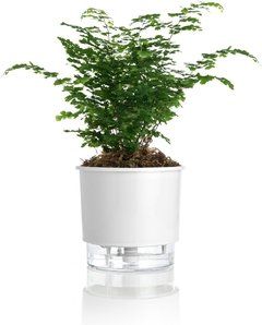 Vaso De Planta Autoirrigável Jardim Tamanho Médio 16x14 - loja online