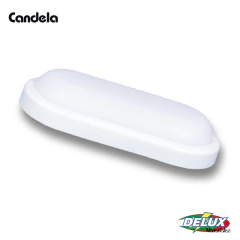 Tortuga led ovalada "Candela" en internet