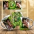 Caneca Disney Vitrais Gold - Capricho Variedades