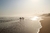 Surf lll - comprar online