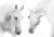 Horses BW - comprar online