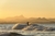 Byron Bay, Australia - comprar online