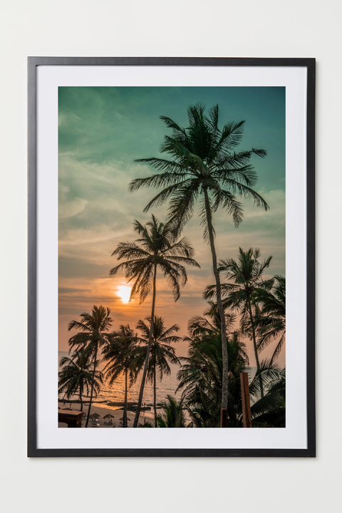 Palms by Shan Patel.