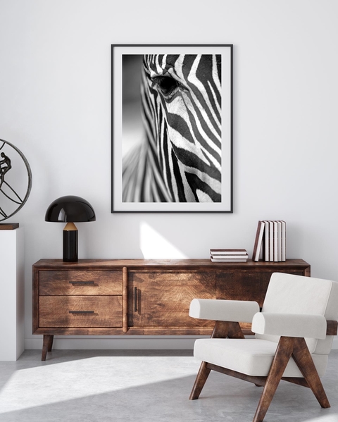 Zebra Portrait