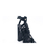 RUDBECKIA - LAQUIER | Shop Online