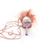 PHOENIX en internet