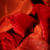 Imagen de PYXIS