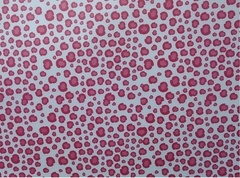 Cartulina Bifaz 50 x 70 cm Animal Print: Rojo - comprar online