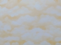 Cartulina Bifaz 50 x 70 nubes color 5 - comprar online