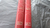 Dicionário Português-inglês Ilustrado 2 Volumes Capa Dura - Ventania Discos e Sebo
