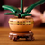 Lego Botanicals Mini Orquidea 274 Piezas Para Armar 10343 - tienda online