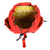 Mochila Brenda Chimola M192 C Tapa Y Bolsillos en internet