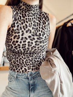 Musculosa Balbi