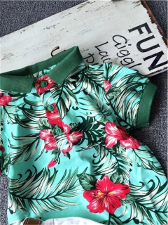 Conjunto Fabrício cód 0176 na internet