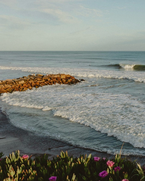 Marca 6 de  Tienda Arenas