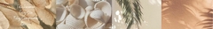 Banner de la categoría Gifts Card